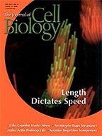 Current Opinion in Neurobiology cover Mar.2004