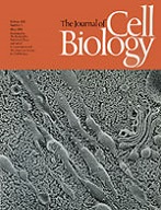 The Journal of Molecular Biology cover