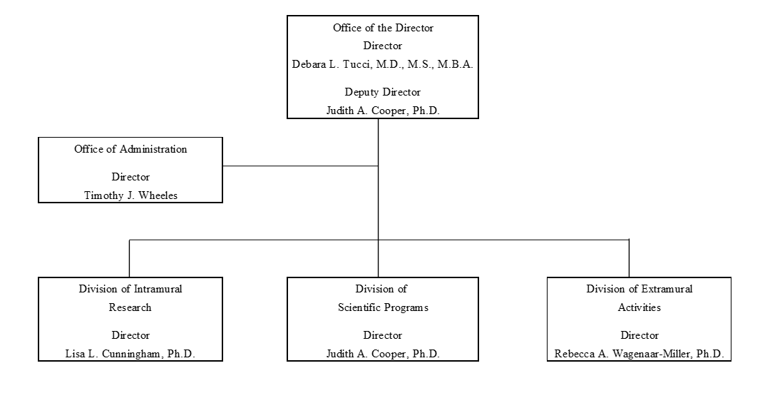 Organization chart. At the top is the Office of the Director, led by Director Debara L. Tucci M.D., M.S., M.B.A. and Deputy Director Judith A. Cooper, Ph.D. Below the Office of Director are the Office of Administration led by Director Timothy J. Wheeles; the Division of Intramural Research led by Director Lisa L. Cunningham, Ph. D.; the Division of Scientific Programs led by Director Judith A. Cooper, Ph. D.; and the Division of Extramural Activities led by Director Rebecca A. Wagenaar-Miller, Ph.D.