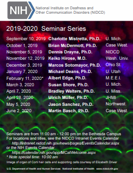 2019-2020 NIDCD Seminar Series promotional poster. Click to Download a PDF.