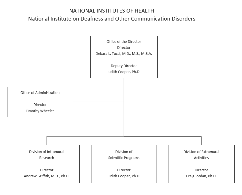 Organization chart depicting the management structure of the National Institute on Deafness and Other Communication Disorders.