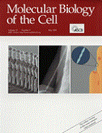 Molecular Biology of the Cell cover