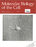 Cover of The Journal of Molecular Biology