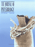 Journal of Physiology cover