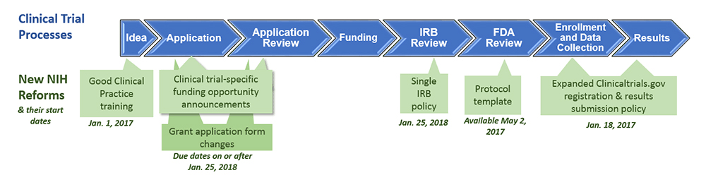 A graphic depicting an eight-step NIH Clinical Trial Process (idea, application, application review, funding, IRB review, FDA review, enrollment and data collection, and results)