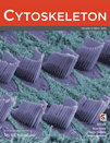 Cytoskeleton publication cover November 2013 publication cover