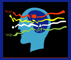 Illustration for Neural and Behavioral Aspects of Early Language Development