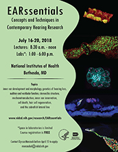 EARssentials 2018 promotional poster