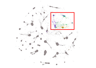 A rough circle with many clustered pixels. Most clusters are grey, but a subset of the clusters in the top right have colored pixels, and are set apart by a red box.