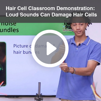 Video titled Hair Cell Classroom Demonstration: Loud Sounds Can Damage Hair Cells.