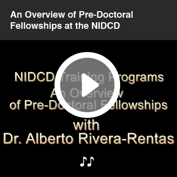Video titled An Overview of Pre-Doctoral Fellowships at the NIDCD.