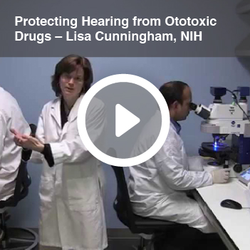 Video titled Protecting Hearing from Ototoxic Drugs – Lisa Cunningham, NIH.