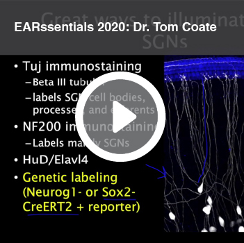 Video titled EARssentials 2020: Dr. Tom Coate.