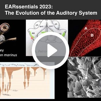 EARssentials 2023: The Evolution of the Auditory System