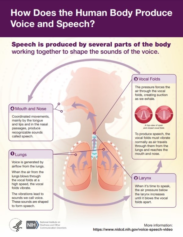 Infographic titled “How Does the Human Body Produce Voice and Speech?”