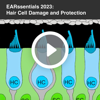 EARssentials 2023: Hair Cell Damage and Protection