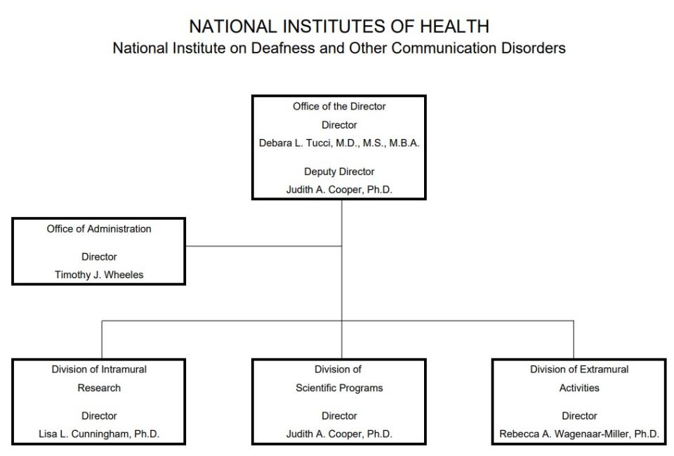 Organization chart. Top level is Office of the Director, Director, Debara L. Tucci, M.D., M.S., M.B.A., Deputy Director, Judith A. Cooper, Ph.D. Below is Office of Administration, Director, Timothy J. Wheeles. Next level Division of Intramural Research, Director, Lisa L. Cunningham, Ph.D. Division of Scientific Programs, Director, Judith A. Cooper, Ph.D. and Division of Extramural Activities, Director, Rebecca A. Wagenaar-Miller, Ph.D.