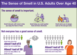 The sense of smell is important. Smell interacts with taste to help you enjoy the flavor of food. Smell helps you avoid spoiled food and toxic chemicals. Smell alerts you to danger, such as fire and gas leaks. Not everyone has a good sense of smell. Smell tests show that about 1 out of 8 people has some smell loss. About 1 out of 30 people has very little or no sense of smell. About 1 out of 15 people reports smelling phantom odors that aren’t really there.
