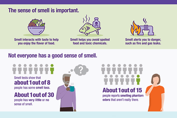 section from infographic reading The Sense of Smell in US Adults over Age 40