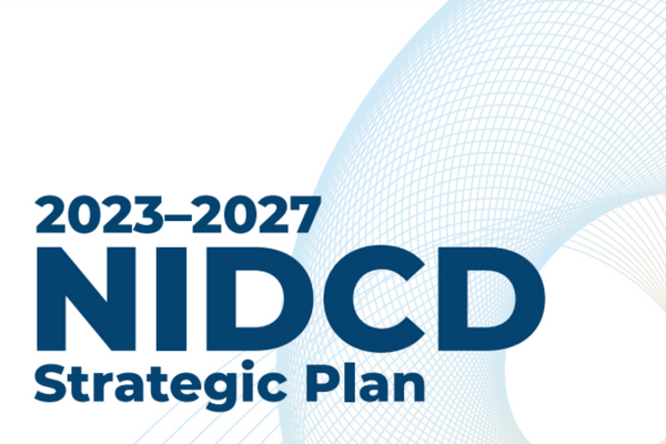 NIDCD 2023-2027 Strategic Plan cover thumbnail title.