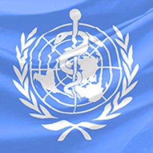 World Health Organization flag.