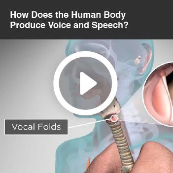 A video titled, “How does our body produce voice and speech?”