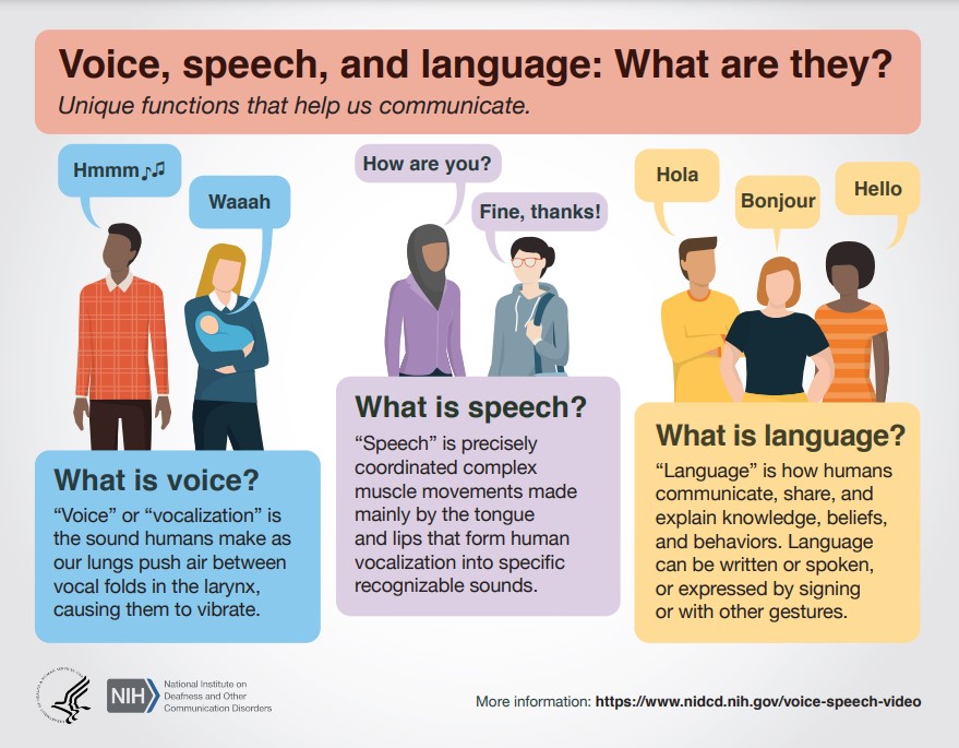 Infographic titled “Voice, Speech, and Language: What are they?”
